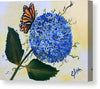 Butterfly kisses Hydrangea  - Canvas Print