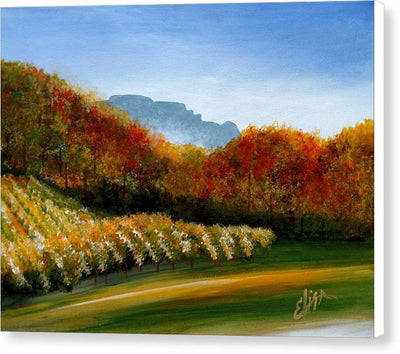 Grandfather Vineyard Winery - Canvas Print