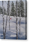 Winter Snow - Canvas Print